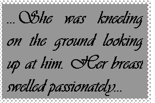Text Box: She was kneeling on the ground looking up at him. Her breast swelled passionately
