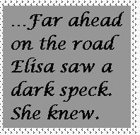 Text Box: Far ahead on the road Elisa saw a dark speck. She knew.